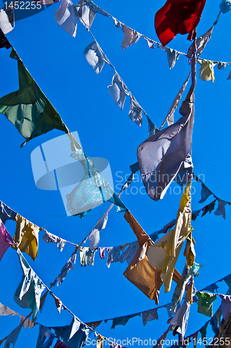 Image of Clotheslines