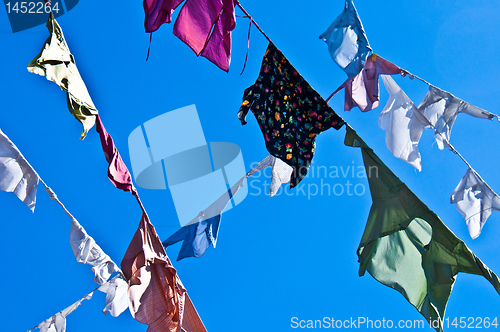 Image of Clotheslines