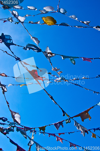 Image of Clotheslines