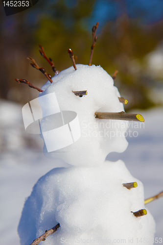 Image of Portrait of a snowman