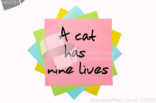 Image of Proverb "A cat has nine lives" written on bunch of sticky notes