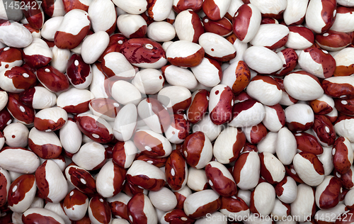 Image of Haricot beans background