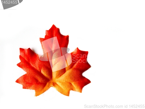 Image of Autumn Leaf