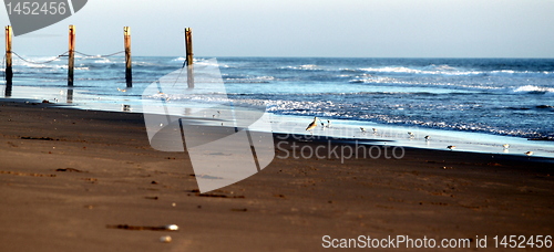 Image of Beach Fence