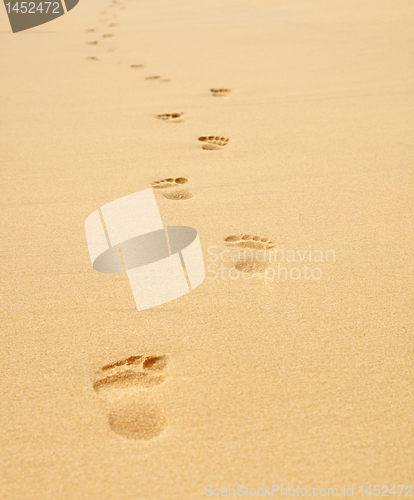 Image of Footprints on the beach