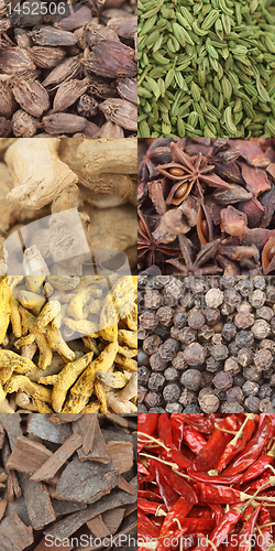 Image of curry spice composite