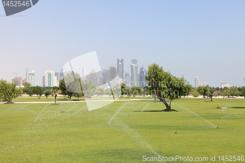 Image of Greening the desert in Doha