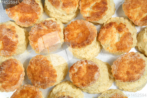 Image of Fresh baked English scones from above