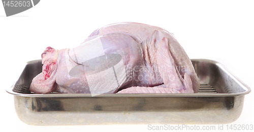 Image of Raw turkey in roasting tin