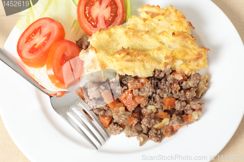 Image of Shepherds pie meal high angle