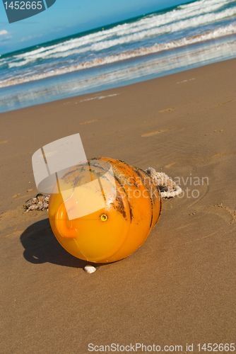 Image of Flotsam