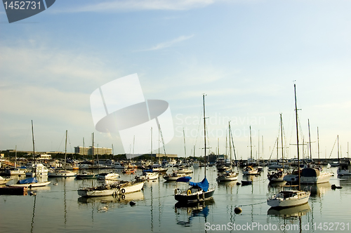 Image of Sailboats