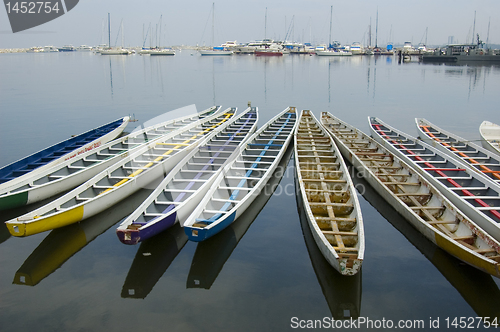 Image of Dragon Boats