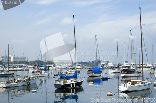 Image of Sailboats