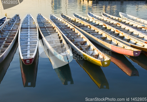 Image of Dragon Boats