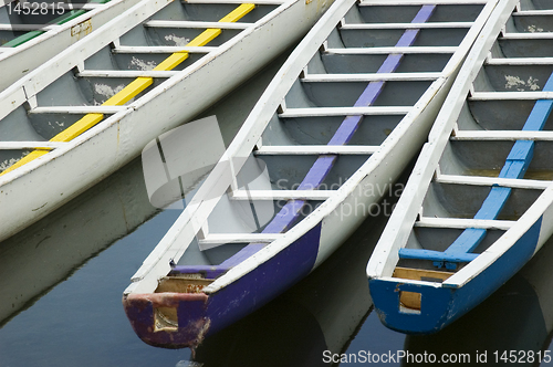 Image of Dragon Boats