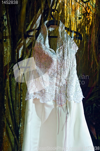 Image of Wedding Gown