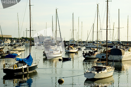 Image of Sailboats