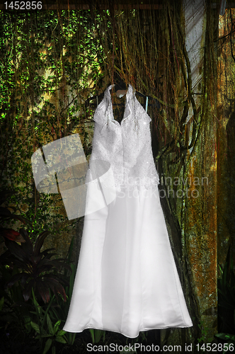 Image of Wedding Gown