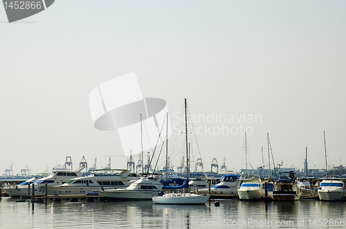 Image of Sailboats