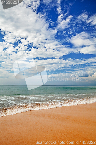 Image of Surf on beach - vertical landscape