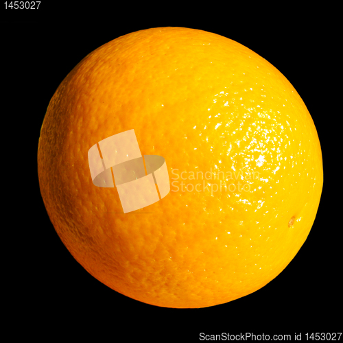 Image of orange