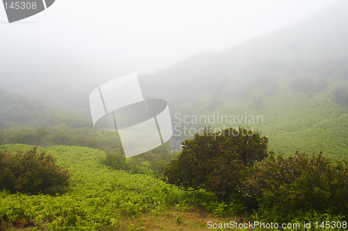 Image of Hill