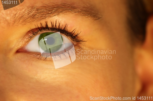 Image of Eye