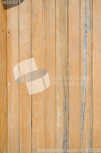 Image of Texture of pine wood