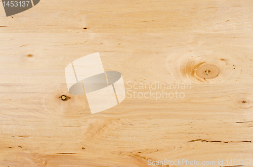 Image of Texture of pine wood