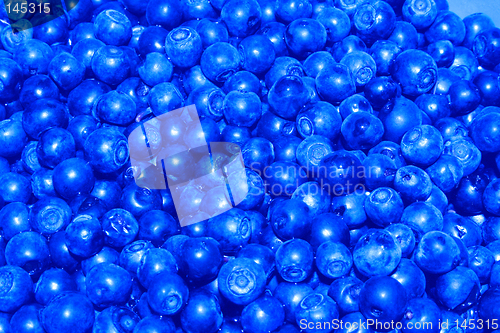 Image of blueberry