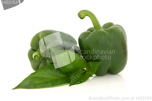 Image of Green Peppers