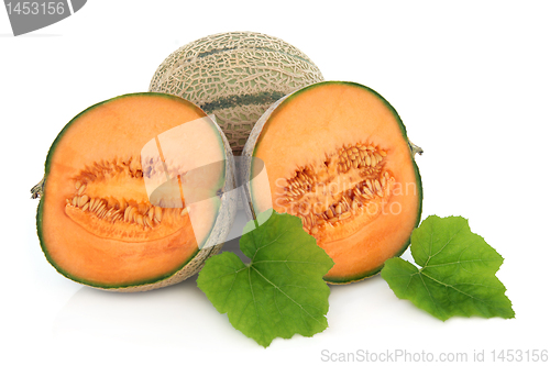 Image of Cantaloupe Melon