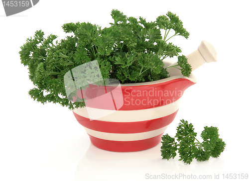 Image of Parsley Herb 