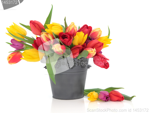 Image of Tulips