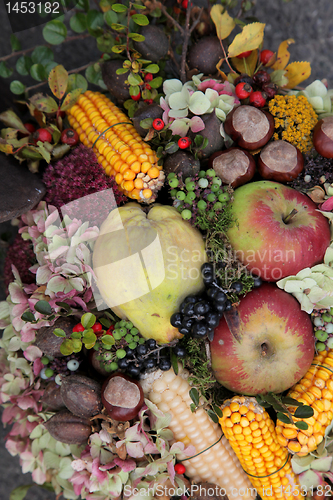 Image of Autumn Harvest