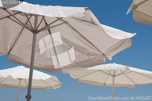 Image of Flying umbrellas