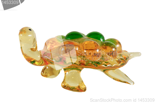 Image of Turtle