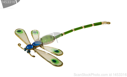 Image of Dragonfly