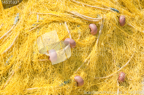 Image of Yellow net