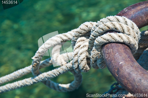 Image of Knot
