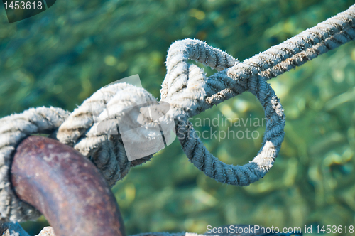 Image of Knot