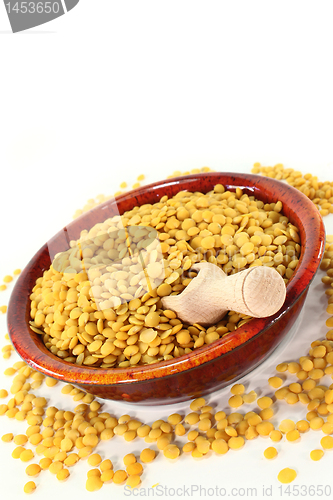 Image of yellow lentils