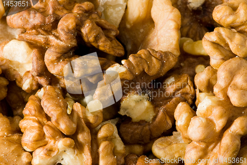 Image of Walnuts closeup
