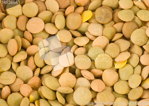 Image of Lentils closeup