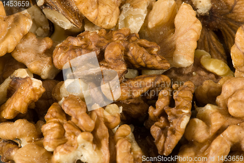 Image of Walnuts closeup
