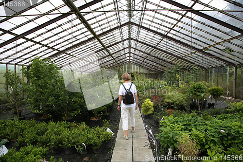 Image of Hothouse