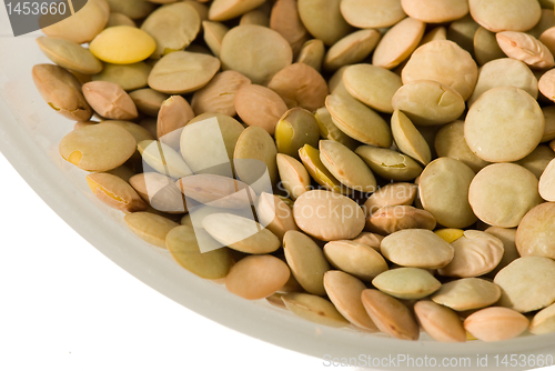 Image of Cup of lentils