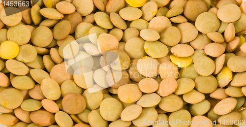 Image of Lentils