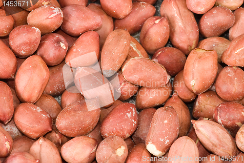 Image of Peanuts macro